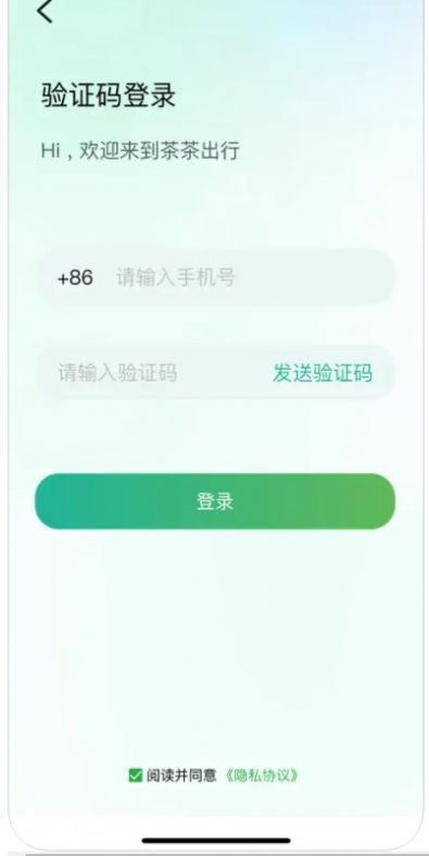 茶茶出行(3)