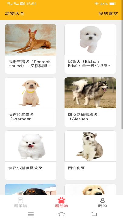乐多趣看(3)