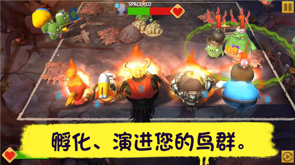 愤怒的小鸟进化无限钻石金币(2)