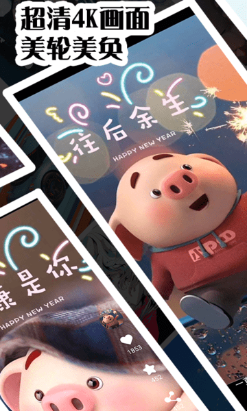视频壁纸秀.png