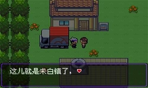 口袋 妖怪漆黑的魅影金手指(1)