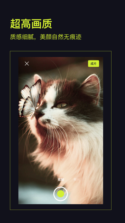 咔皮action.png