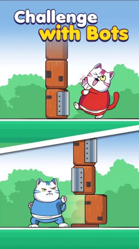 对战猫(4)