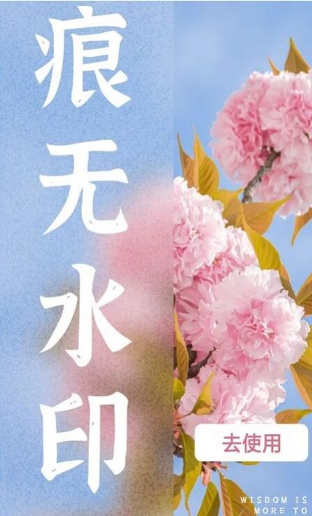 水印扣除.jpg
