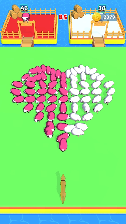 1700727147940075.jpg