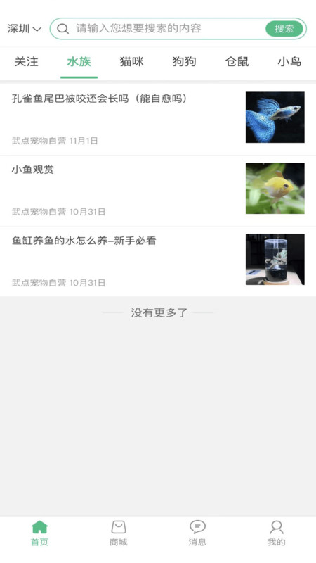 武点宠物(1)