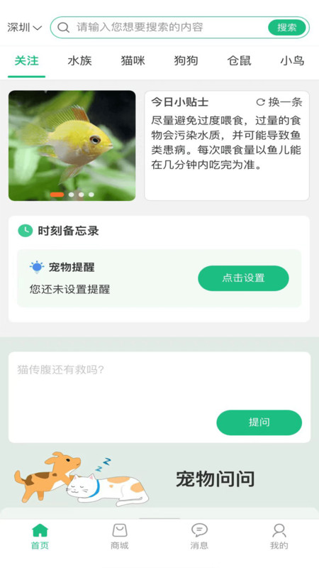 武点宠物(3)