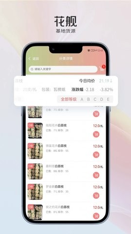 花舰.jpg