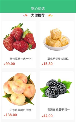 铜心优选(2)
