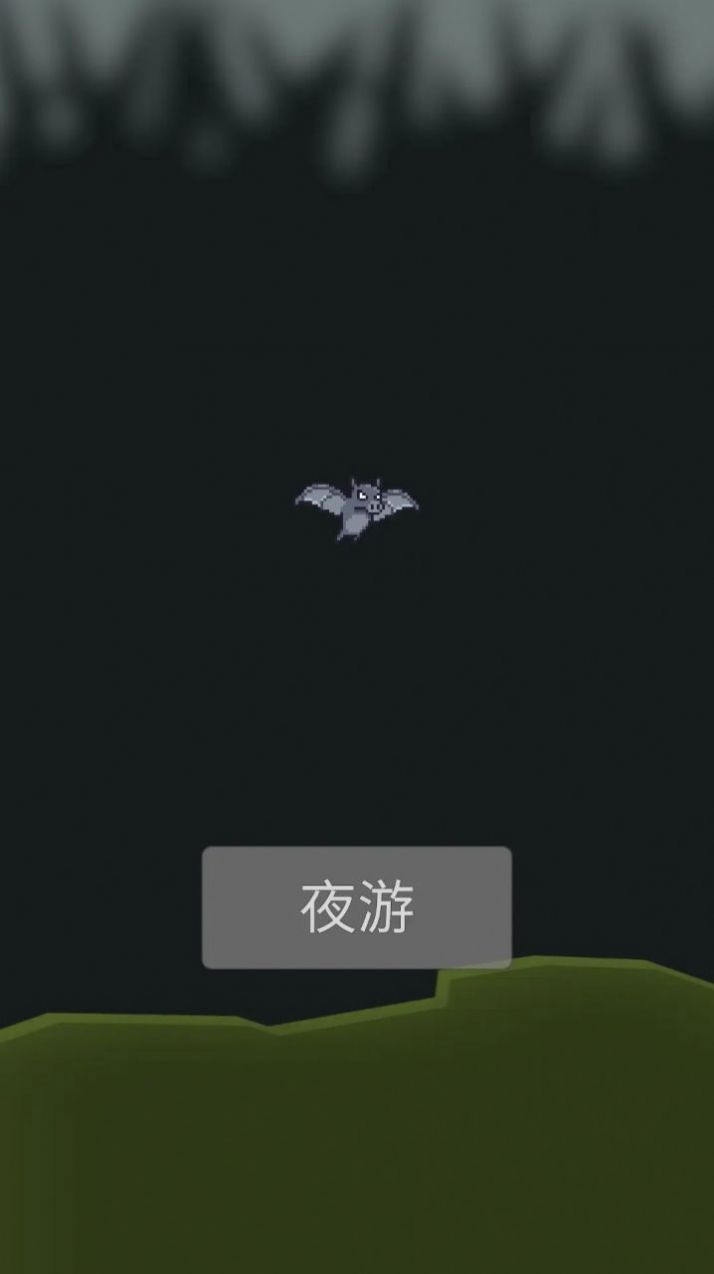 小蝙蝠夜游记(1)