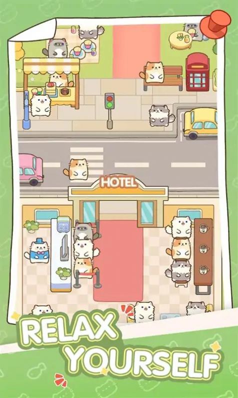 迷你猫酒店(2)