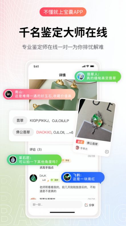 宝囊.jpg