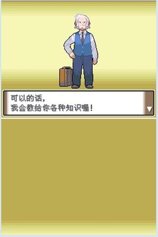 口袋妖怪白金中文版.jpg