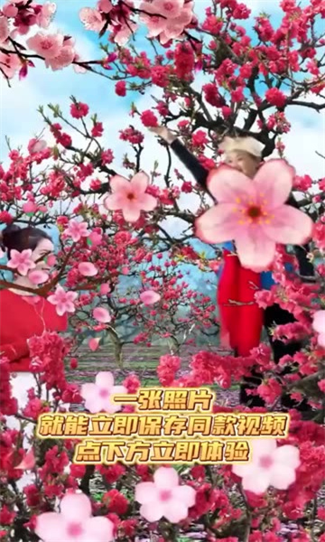 魔力音乐相册(2)