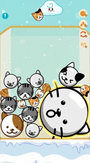 甜瓜之寒水果掉落.jpg