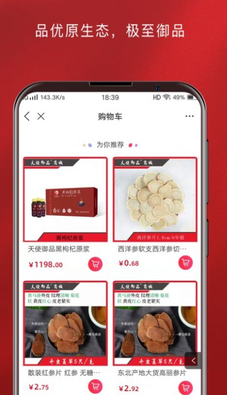 天使御品(1)