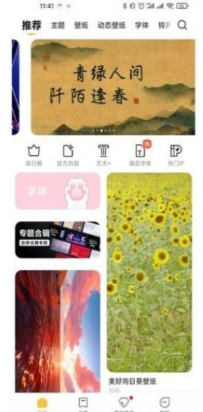 个性主题皮肤(3)