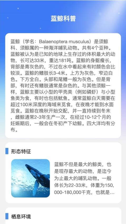 蓝鲸WiFi.jpg