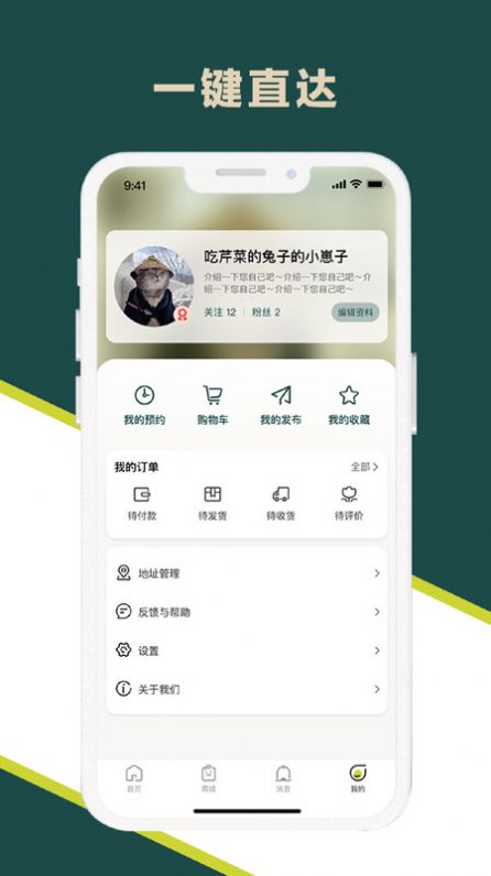 玉兰之城(1)