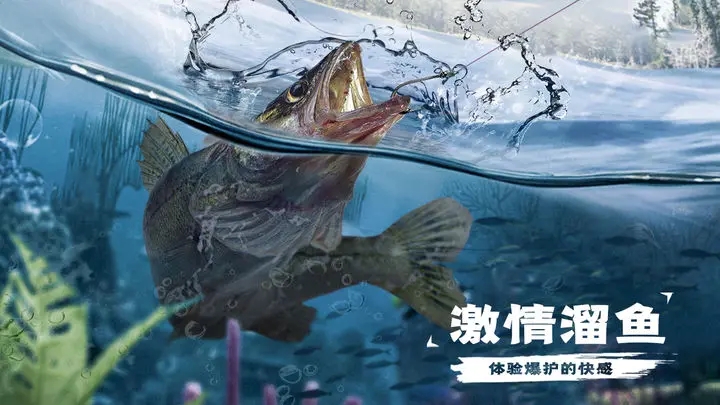 天天钓鱼内购版(5)