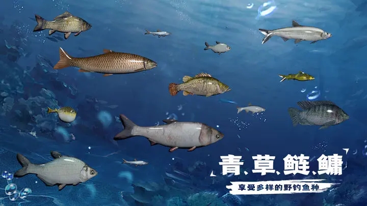 天天钓鱼无限金币(4)