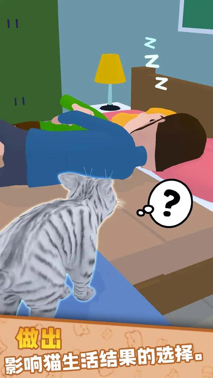 猫咪的选择(2)