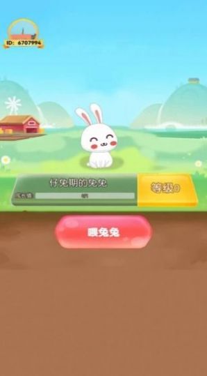饲养小白兔(1)