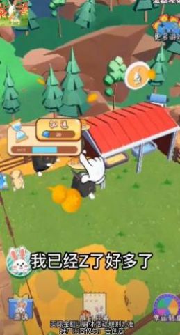 饲养小白兔(3)