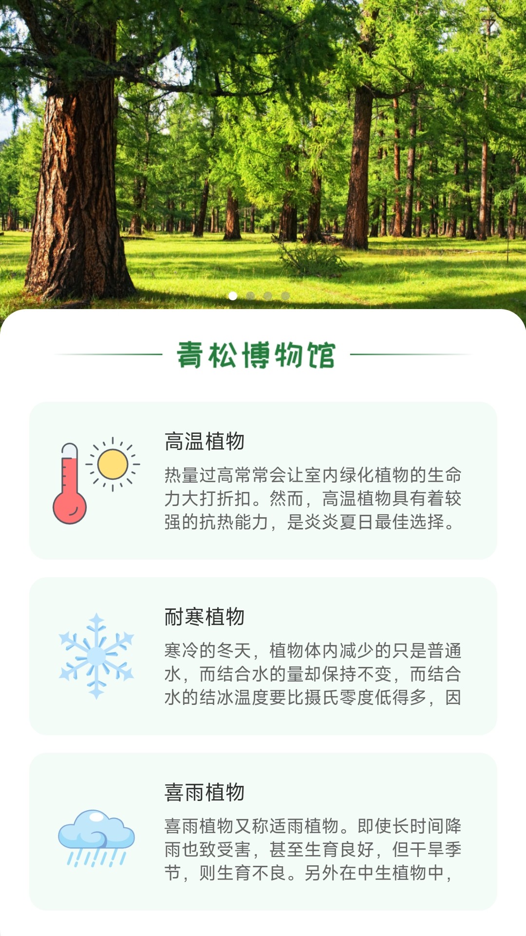 青松奇源.jpg