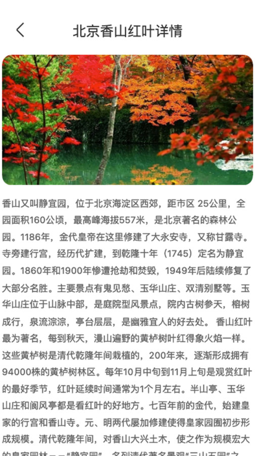 枫叶悦看(2)
