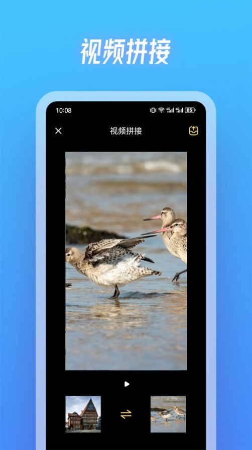 斑马视频制作(3)