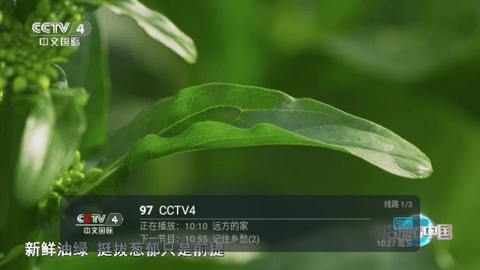 小辣妹视界TV.png