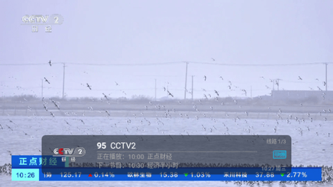小辣妹视界TV.png