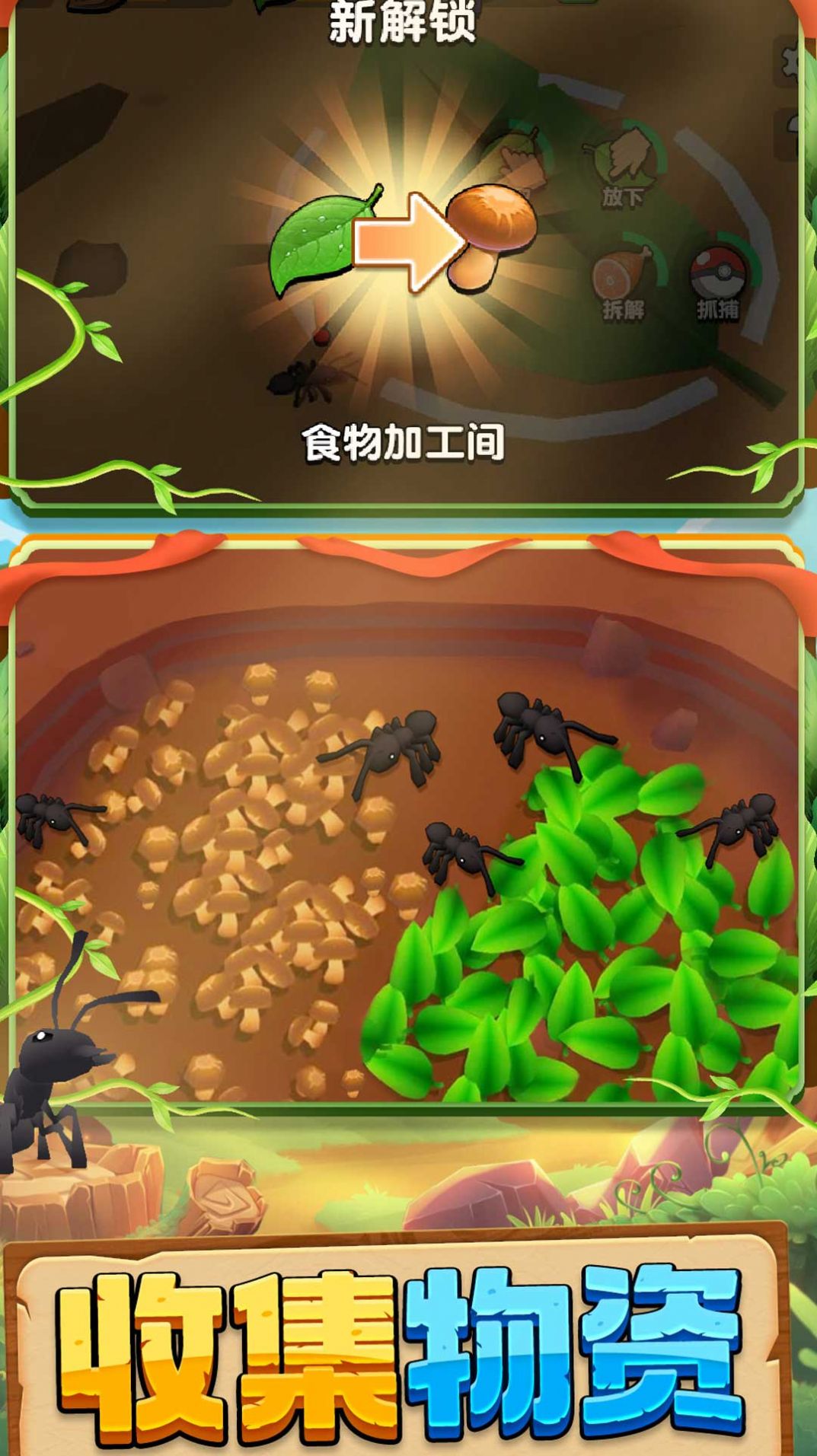 1704335569191411.jpg