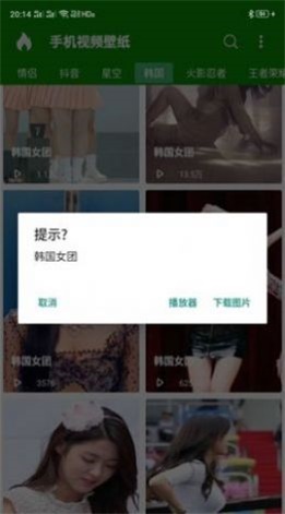 手机视频壁纸.jpg