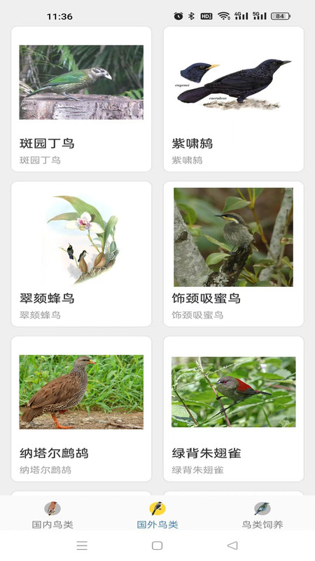 鸭鸭的世界(2)