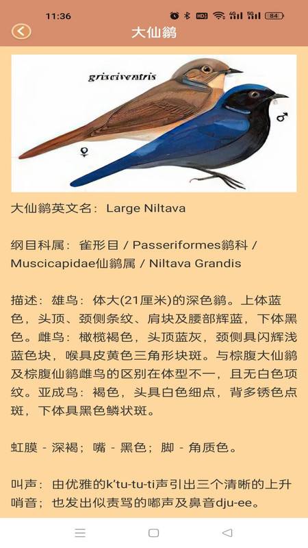 鸭鸭的世界.jpg