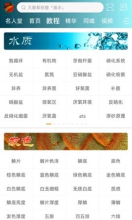 龙族论坛app纯净版.jpg