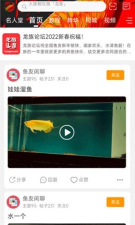 龙族论坛app纯净版(1)