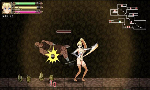 女盗贼米萨莉安卓正版.jpg