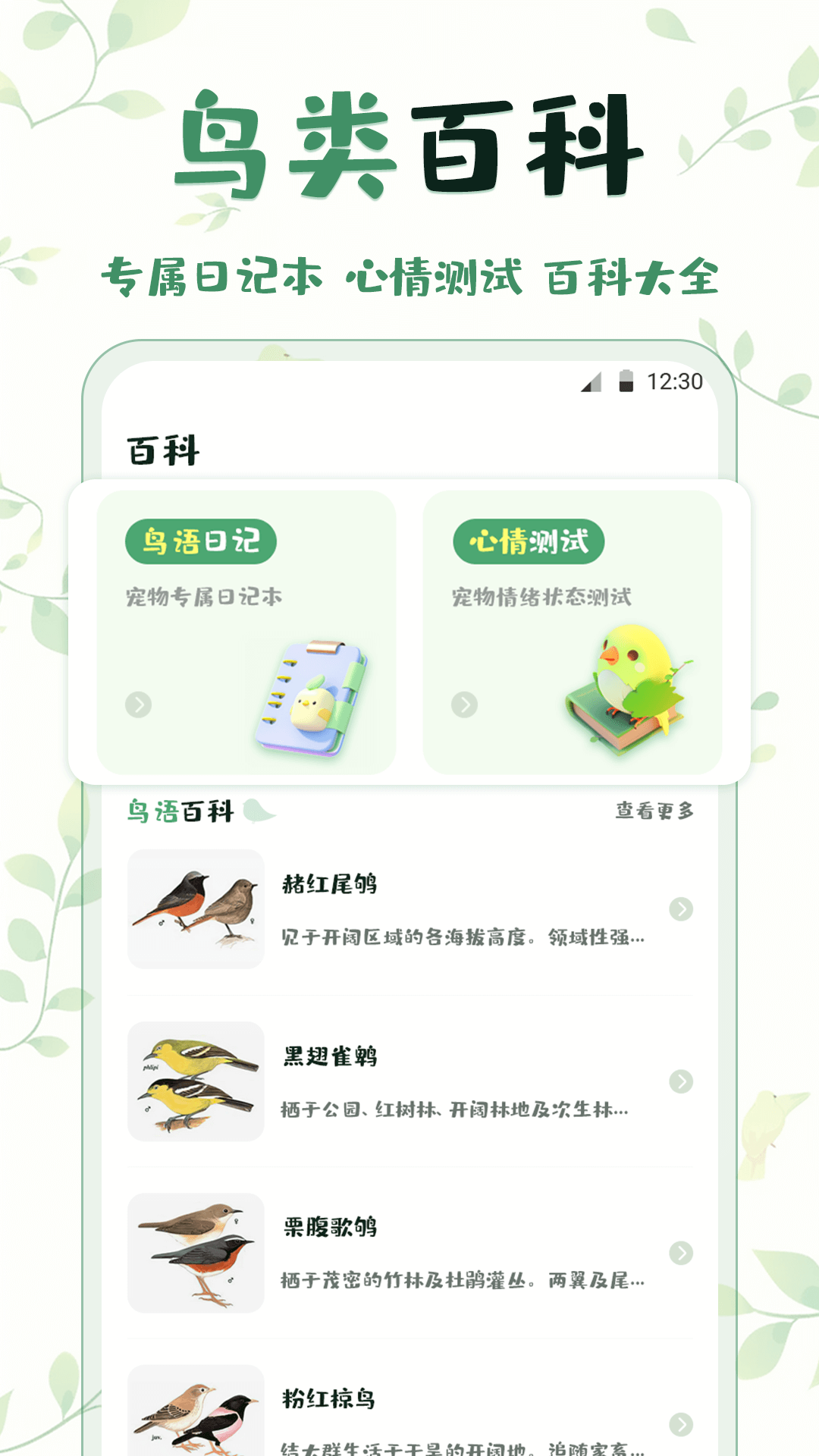 鸟语翻译精灵png