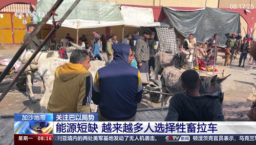 巴豆侠TV免费版(3)