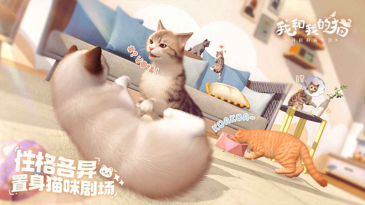 我和我的猫(1)