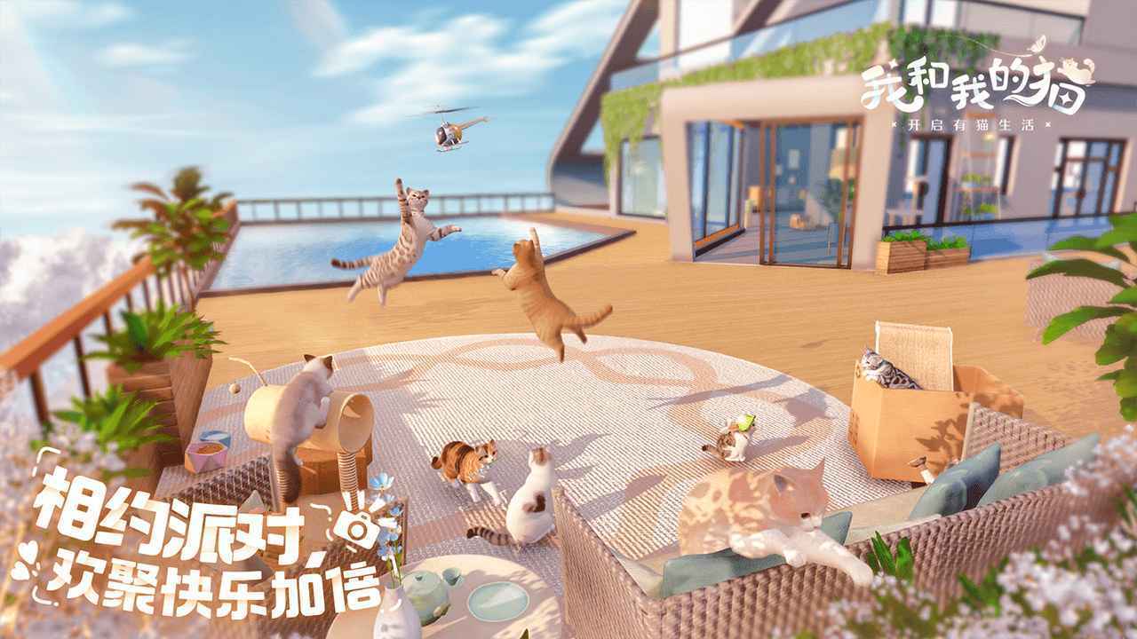 我和我的猫(4)