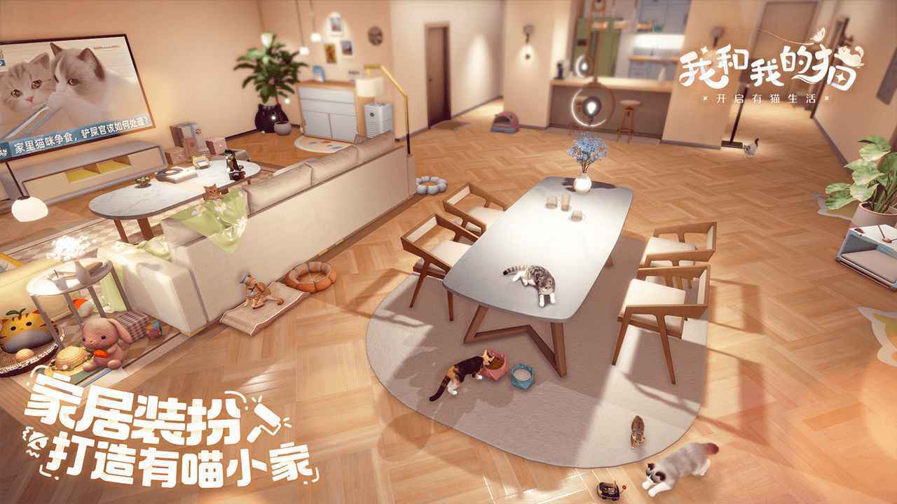 我和我的猫(2)