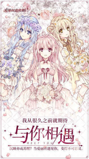爱丽丝的衣橱汉化版.jpg