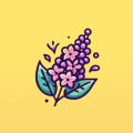 丁香优化大师(4)