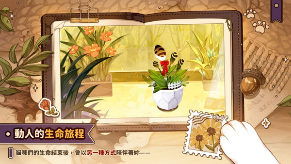 猫逝正版(1)
