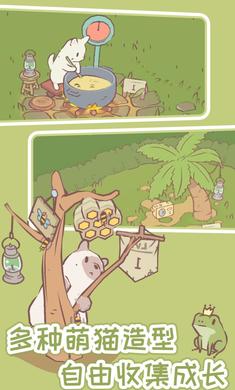 猫咪物语无广告(1)