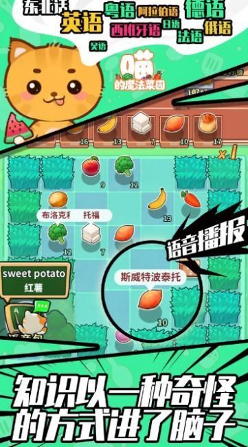 喵的魔法菜园(1)